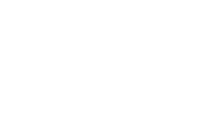 Escudos, botones y carrillera para los diferentes rangos de las fuerzas armadas y de policía.